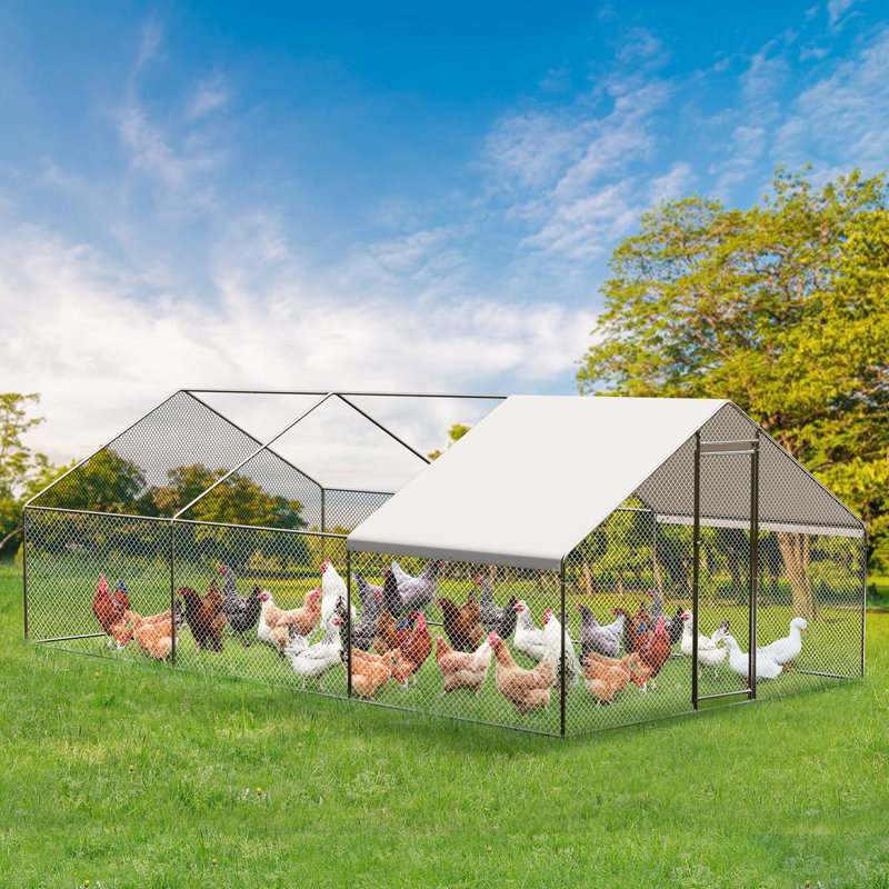 12m² Chicken Coop, 200cm H x 300cm W x 600cm D