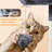 Dainel Multi-Level Cat Tree-75188474
