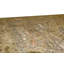 Oriental Area Rug in Light Gray/Gold