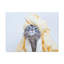 No Frame Print on Canvas-675574814