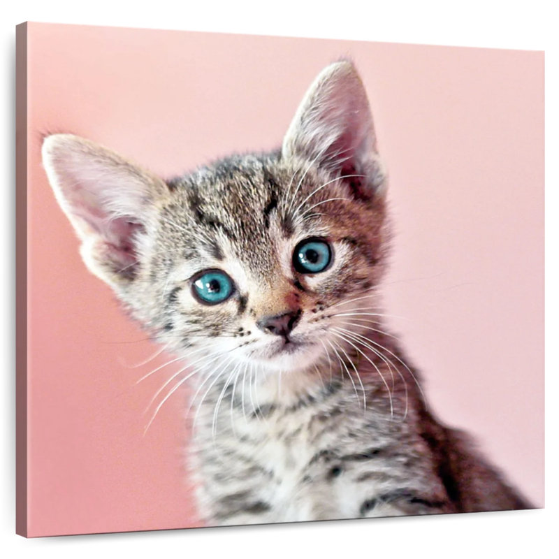 Crowle Staring Cat, 20" H x 20" W