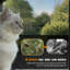 Boîte pour fenêtre d'extérieur Catio L 51,2 po, gris-1834384170