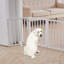 Liz Free Standing Pet Gate-1666448467