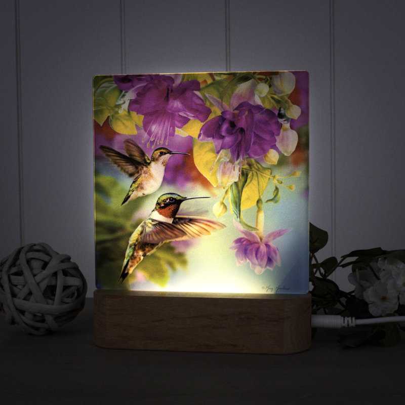 Veilleuses colibris et Fuscia