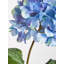 Fiori Hydrangea Arrangement