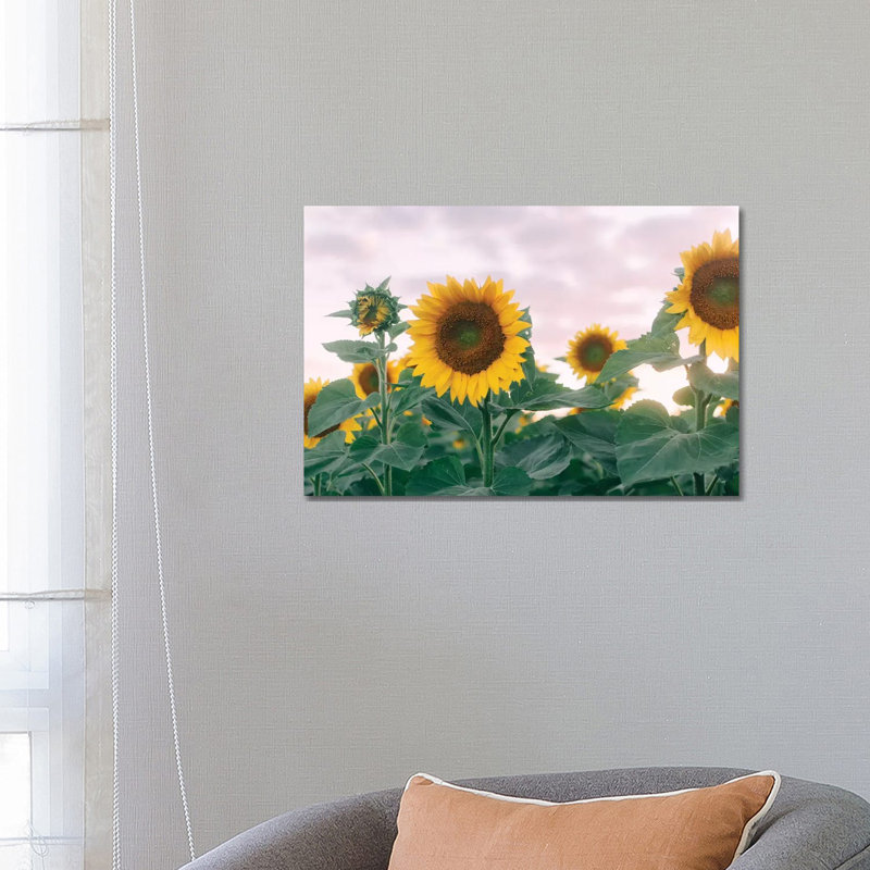 Sunflowers At Sunset I by Chelsea Victoria - Wrapped Canvas Print, 66.04 cm H x 45.72 cm W x 3.175 cm D