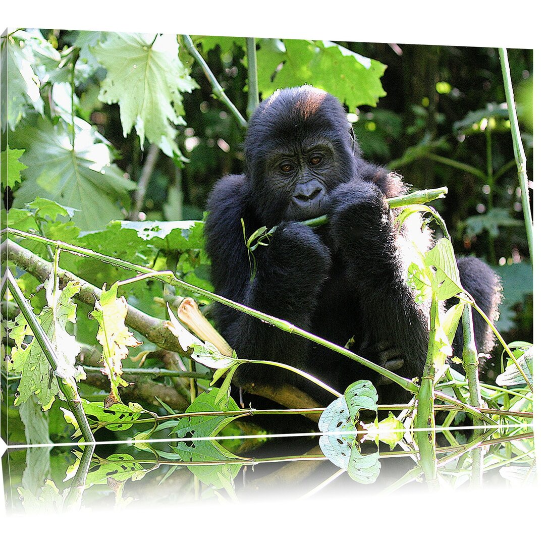 Leinwandbild Gorilla beim Fressen