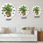 Horloge murale traditionnelle Croton In Clay-60329058