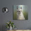 Art mural en métal «Whos Your Llama 1 C» par Julia Purinton-106417632