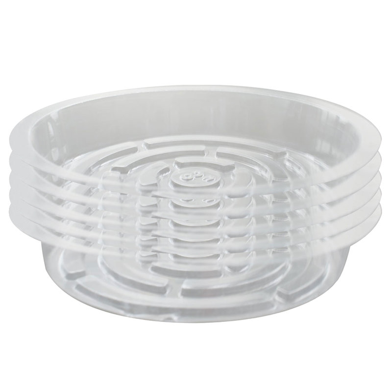 Plateaux de pots de fleurs transparents 5 pièces - Idéal pour présenter des fleurs fraîches et des plantes