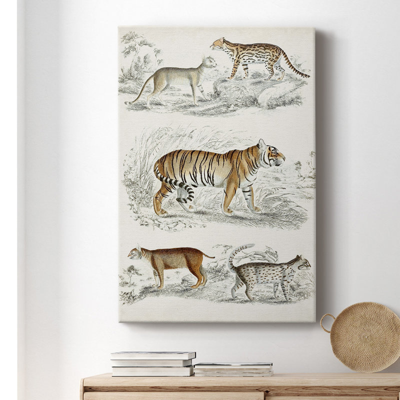 Journal of Natural History I - peinture sur toile tendue, H 18 po x l 12 po x P 1 po