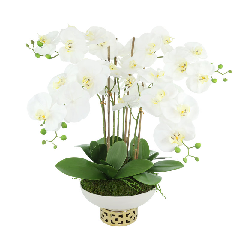 Orchids Arranged in Ceramic Key Footed Pot
