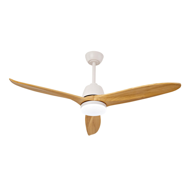 Ventilateur de plafond chaud d'intérieur de 52 pouces avec lumières DEL à intensité variable et moteur à courant continu réversible