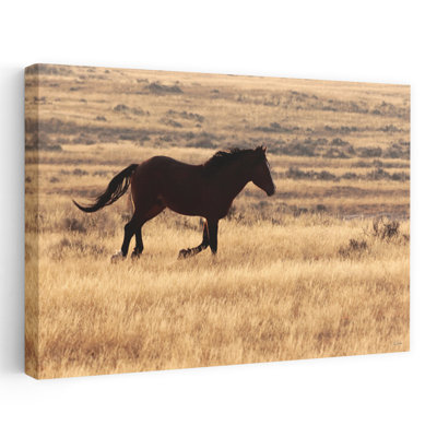 The Wild Spirit, art dramatique abstrait contemporain, paysage de cheval, art mural