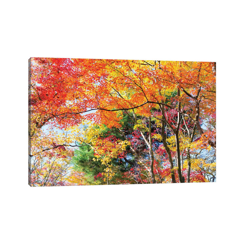 Autumn Foliage in Kyoto, Japan 1 Piece Wrapped Canvas Wall Art, 20.32 cm H x 30.48 cm W