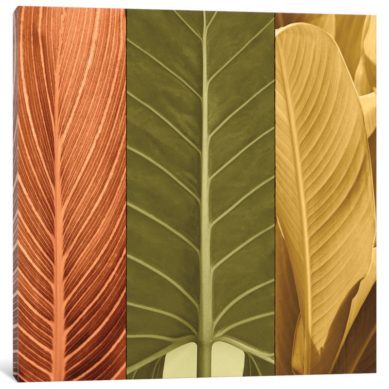 « tropical trio i », impression sur toile, H 18 po x l 18 po x P 1,5 po