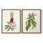 Pretty Pink Botanicals VII-Premium Framed Print -Ready to Hang - No Nails Required - No Nails Required-559296229-559296230