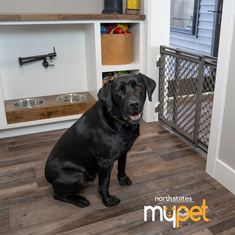 2-IN-1 EASY SWING PETGATE FIELDSTONE