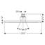 Raindance Royale 350 Air Shower Head
