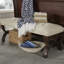 Banc rembourré Arlow
