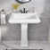 ZEAFIVE Pedestal Bathroom Sinks 20'' Ceramic Rectangular Bathroom Sink with Overflow
