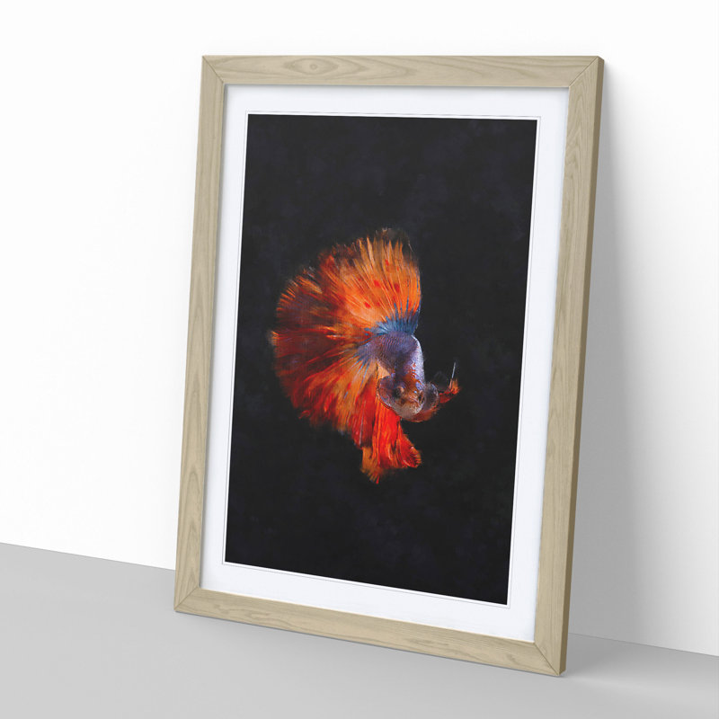 The Siamese Fighting Fish - Framed Print, 36cm H x 27cm W x 2cm D, Oak Framed