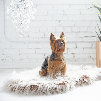 Orthopedic Polyester Pet Bed
