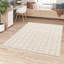 Ailean Chequered Area Rug-1617666181
