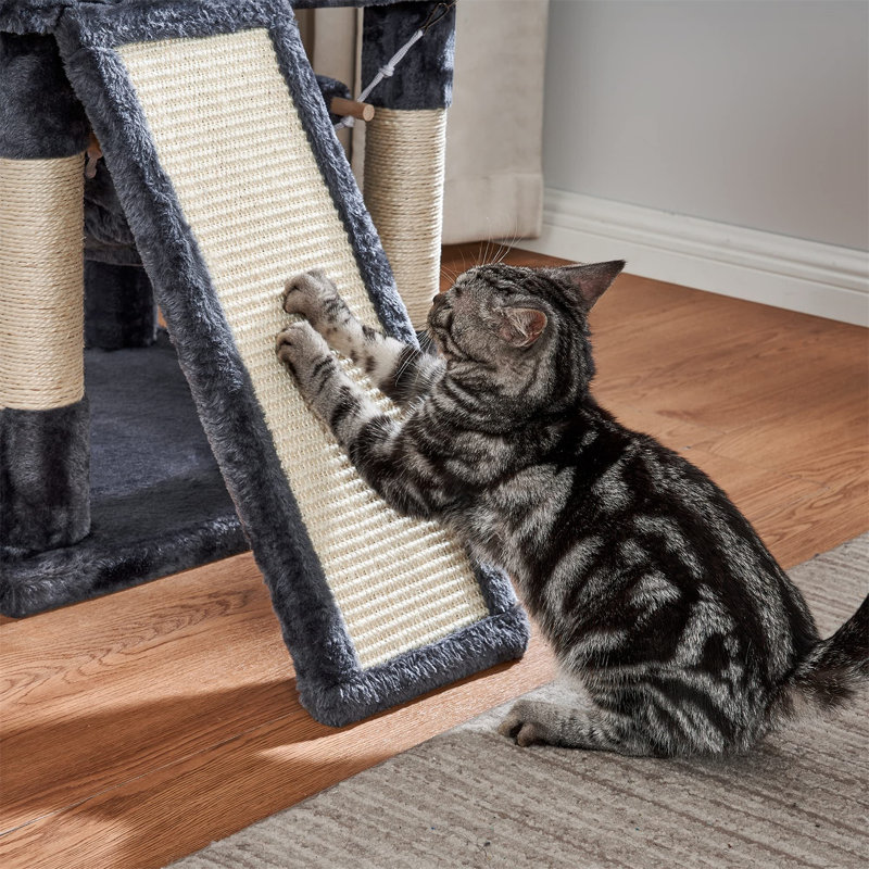 Arbre à chat luxueux à plusieurs niveaux - aire de jeu intérieure parfaite pour les grandes races, Gris foncé