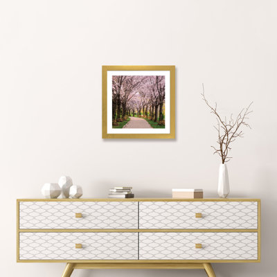 «Cherry Blossom Trail» par Chuck Burdick - reproduction de photo sur toile tendue