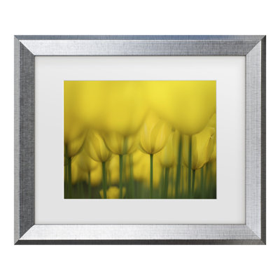 Bolog Takashi Suzuki  Yellow One Color Matted Framed Art