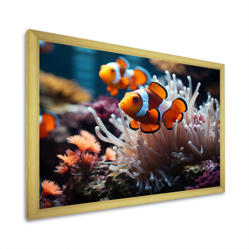 «Orange clownfish», art marin mural, Cadre doré simple, H 30 po x l 40 po x P 1,5 po
