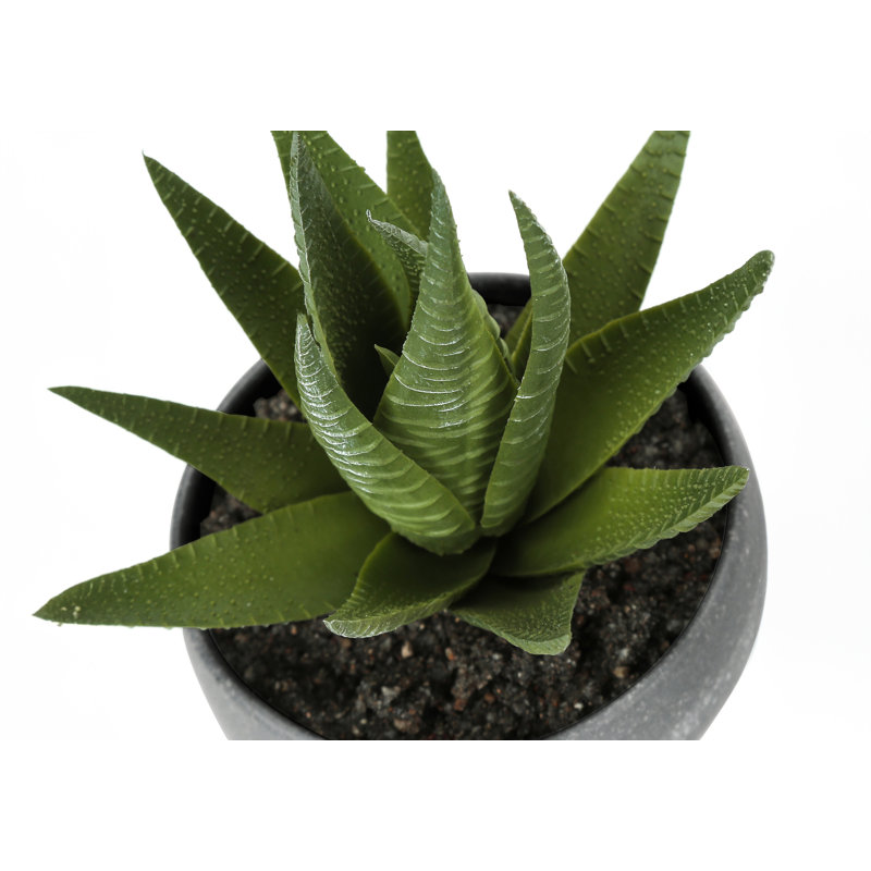 Plante grasse artificielle 5,75 po en pot de mélamine