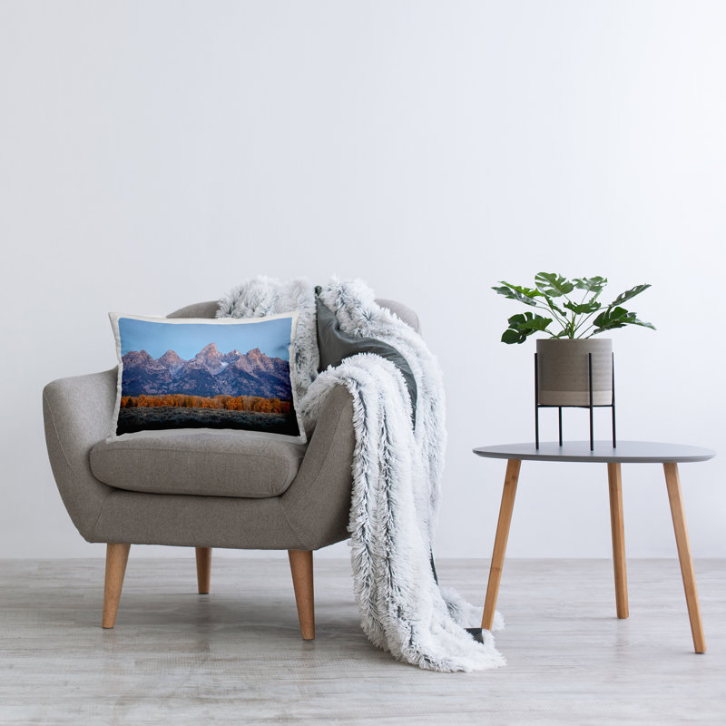 Throw Pillow