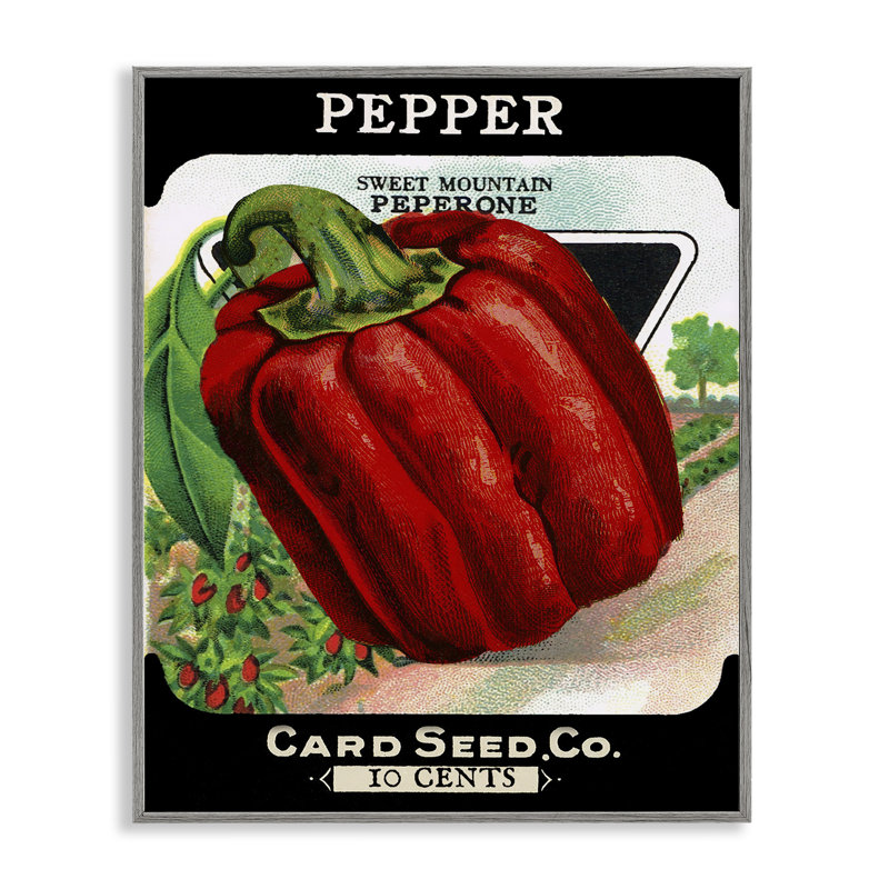 Giclée encadrée par Vintage Garden Peppers, conception par Lil 'Rue, H 14 po x l 11 po, Estampe numérique Farmhouse