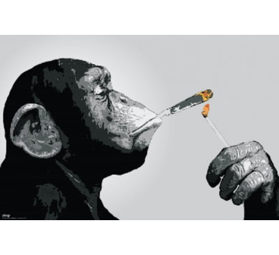 Reproduction d'affiche Steez Monkey Joint Time (34 X 24) - article B0AF07F97ECF4F9092C4918A164C1446