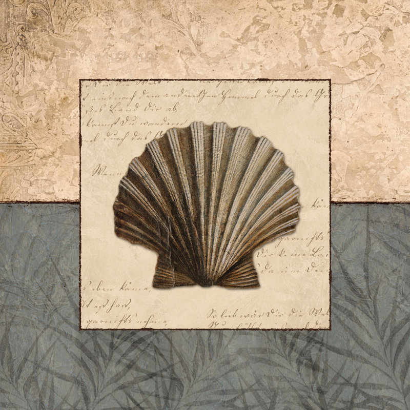 Shell Study 2, 91cm H x 91cm W x 3.8cm D