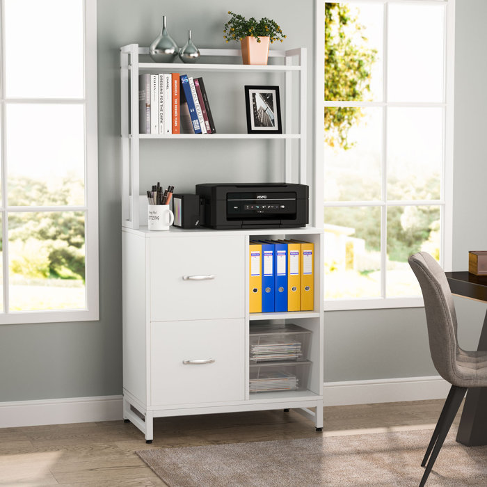 17 Stories Latika 2-Drawer Vertical Filing Cabinet & Reviews | Wayfair