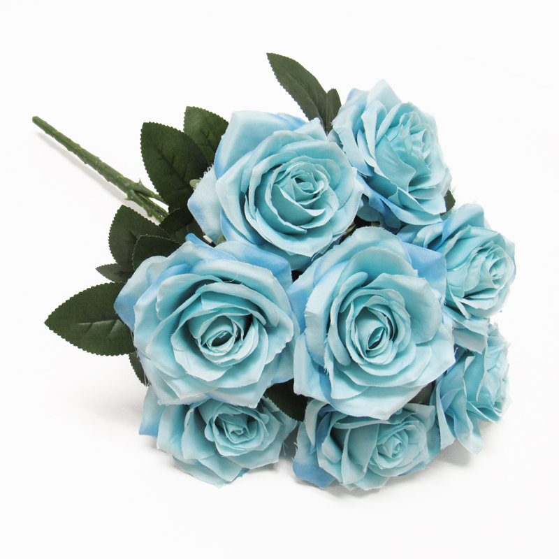Grand rosier Jaafer Deluxe, Bleu cendré