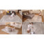 Tapis de sol intérieur antidérapant lavable Boho-1781136154-1785287156