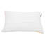 Dequisha Abstract Rectangular Cushion