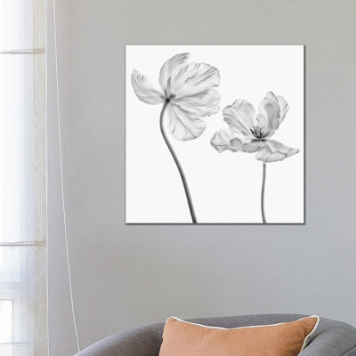 Same Tulip: Front and Backview 1 Piece Wrapped Canvas Wall Art