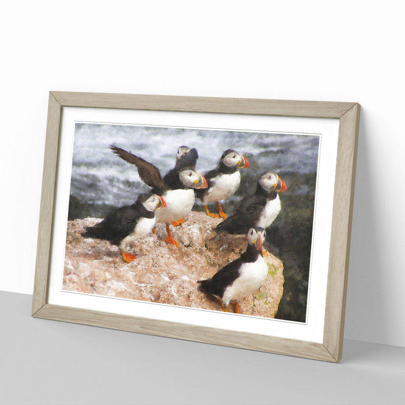 Atlantic Puffin Birds Vol.3 - Framed Print, 36cm H x 48cm W x 2cm D, Oak Framed