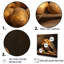 «Potato Amber» sur toile-541052026-541051970