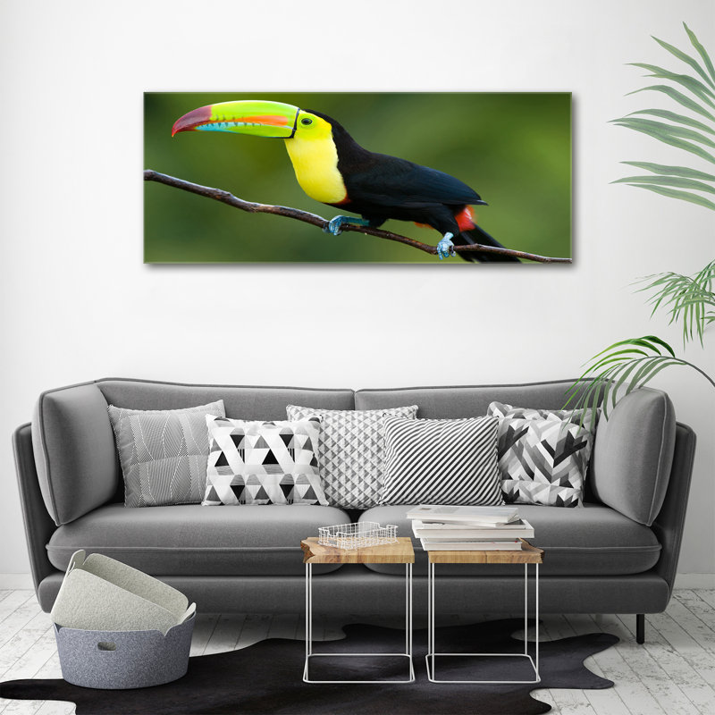 Toucan - Wrapped Canvas Print
