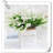 Orchid Arrangement