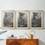 Woodland Deer III - reproduction sur mesure encadrée de qualité supérieure - 3 pièces-575093971-575093983