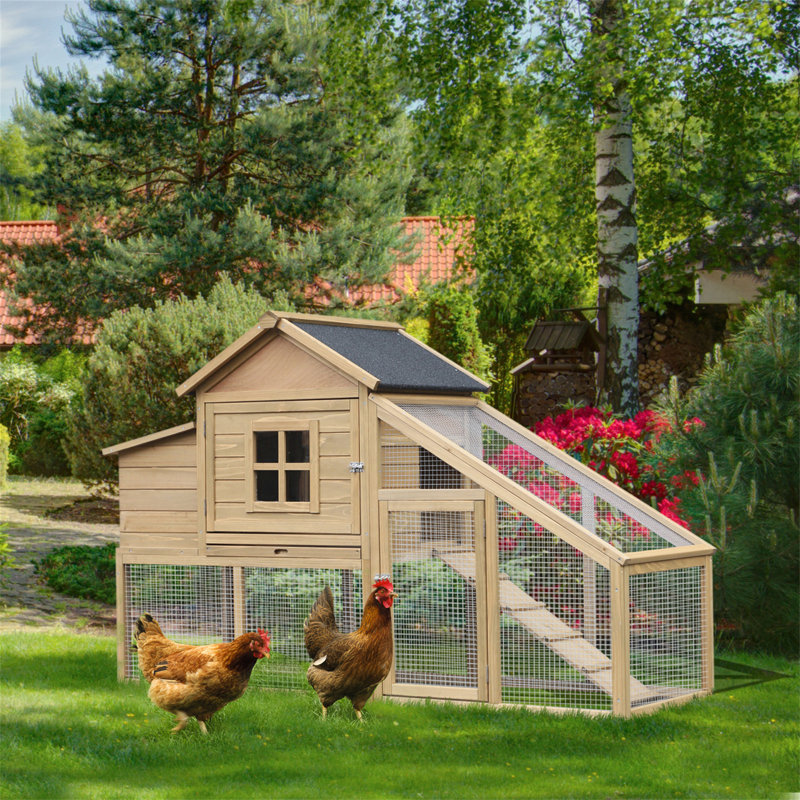 Poulailler en bois 69 po Pawhut, poulailler en cage avec rampe de connexion, plateau amovible, fenêtre ventilée et nichoir