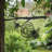 Tree Spike Silhouette - Beehive