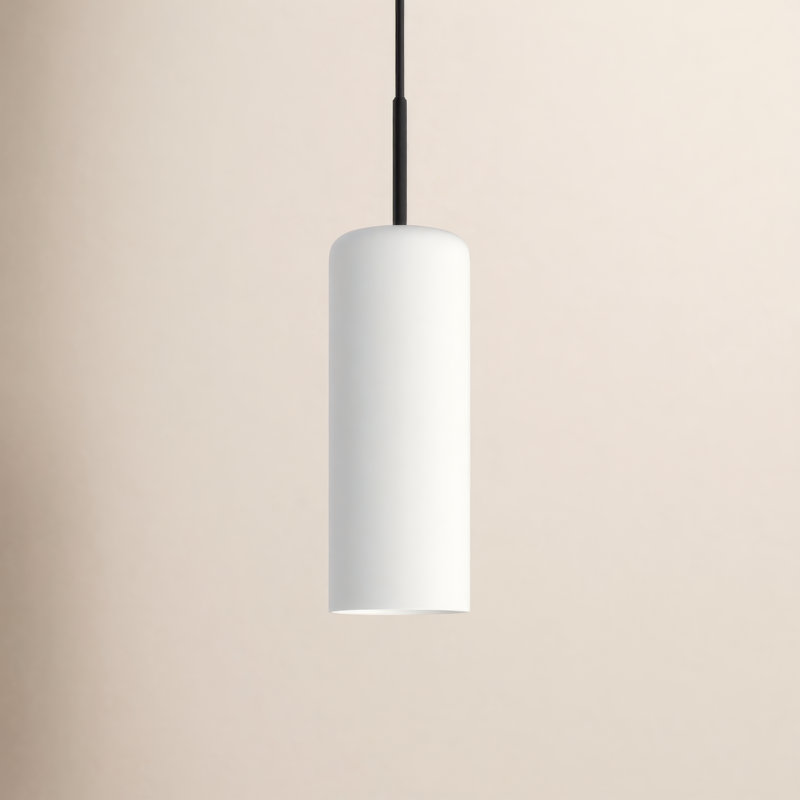 Luminaire suspendu cylindrique simple à 1 lumière Troy